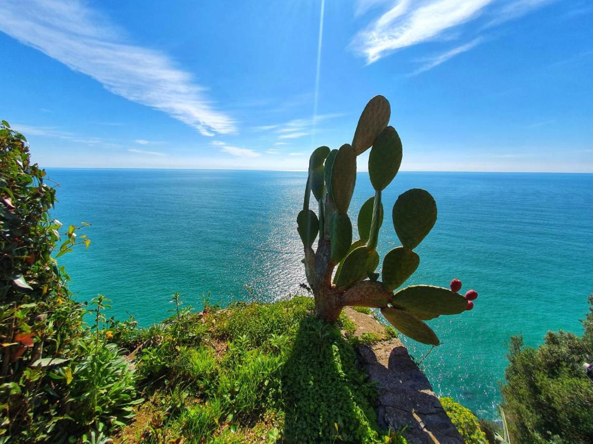 Apartment La Terrazza Sul Blu Corniglia