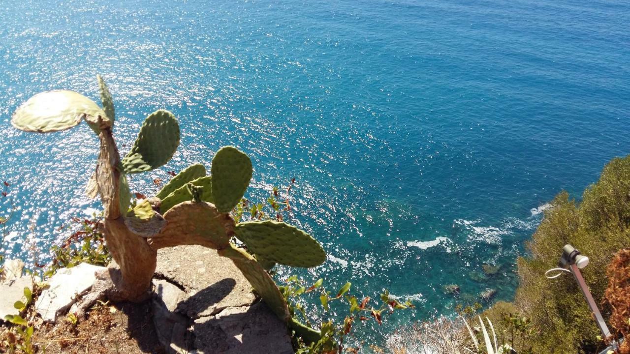 La Terrazza Sul Blu